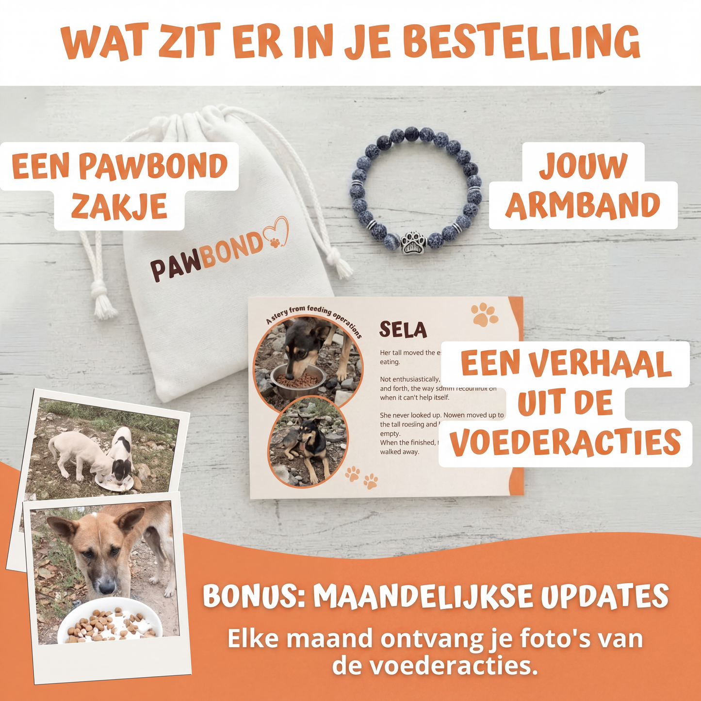 De Reddingsarmband