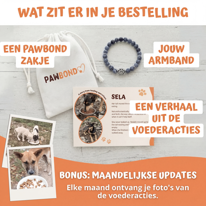 De Reddingsarmband