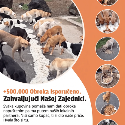 Narukvica – Bistri Čakra